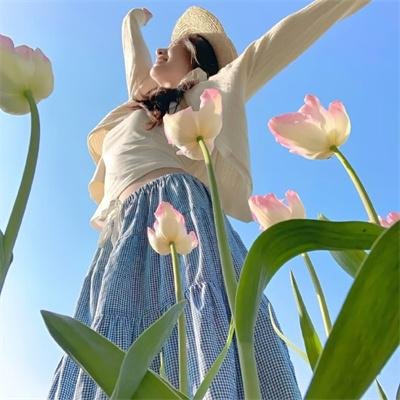 昙花梦